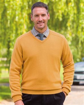 Men's v neck sweater on sale sale